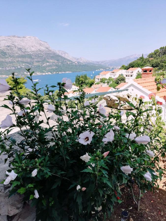 Amore Korčula Zewnętrze zdjęcie